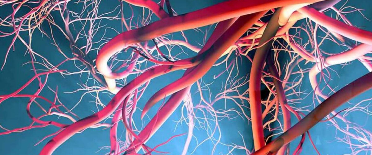 Mikronährstoff-Synergien können Angiogenese hemmen